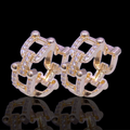 Aretes herradura